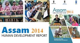 Assam Human Development Report