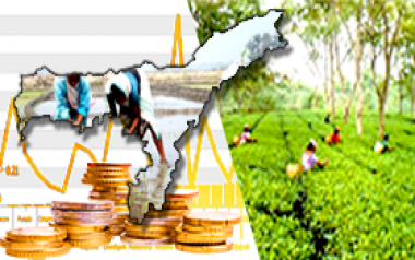 Assam Budget & Economic Survey